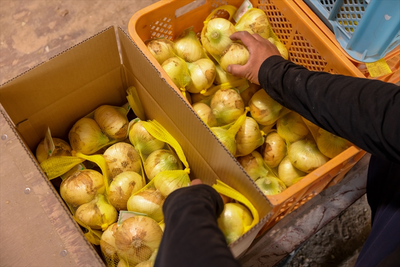 生産～収穫～出荷～販売まで一元管理！