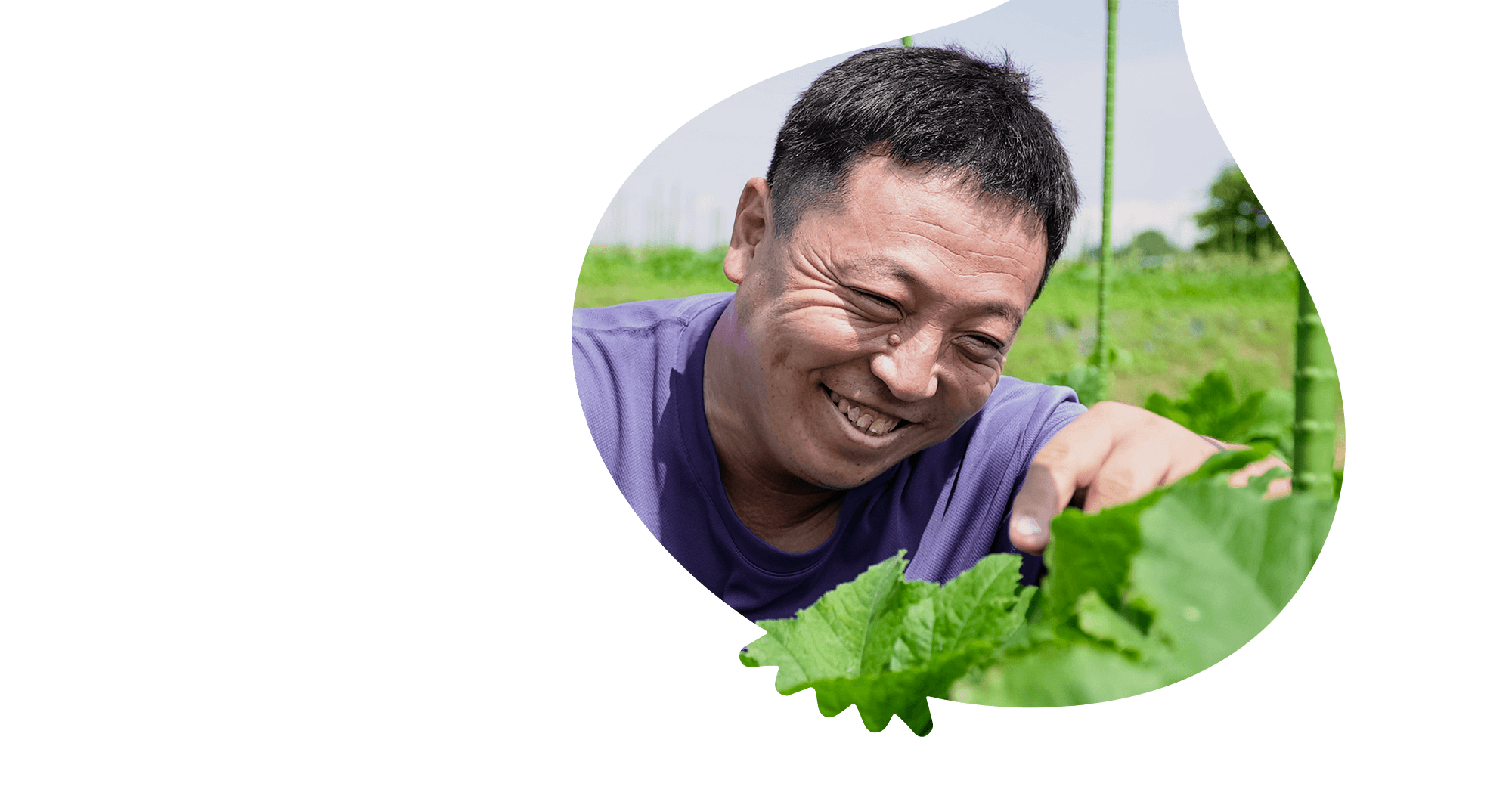 知多の丘陵から鮮をお届けいたします。土や作物を愛し、信頼される農業者であるために。