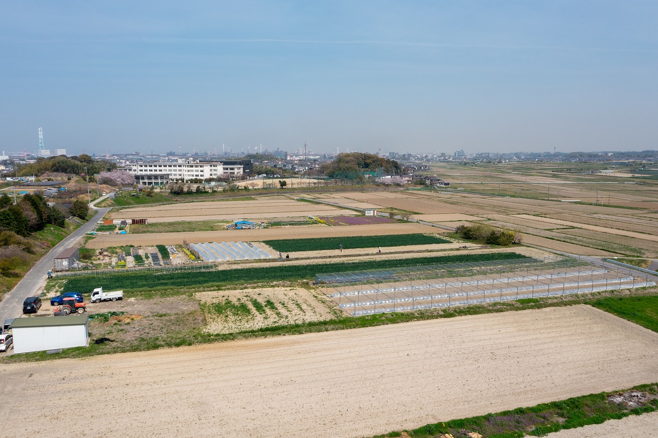 73