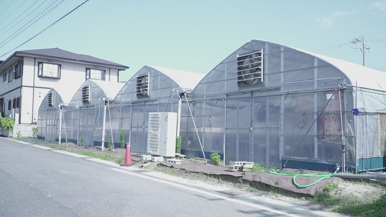 DSC07205