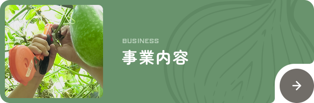 bnrhalf_business_off