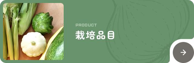 bnrhalf_product_off