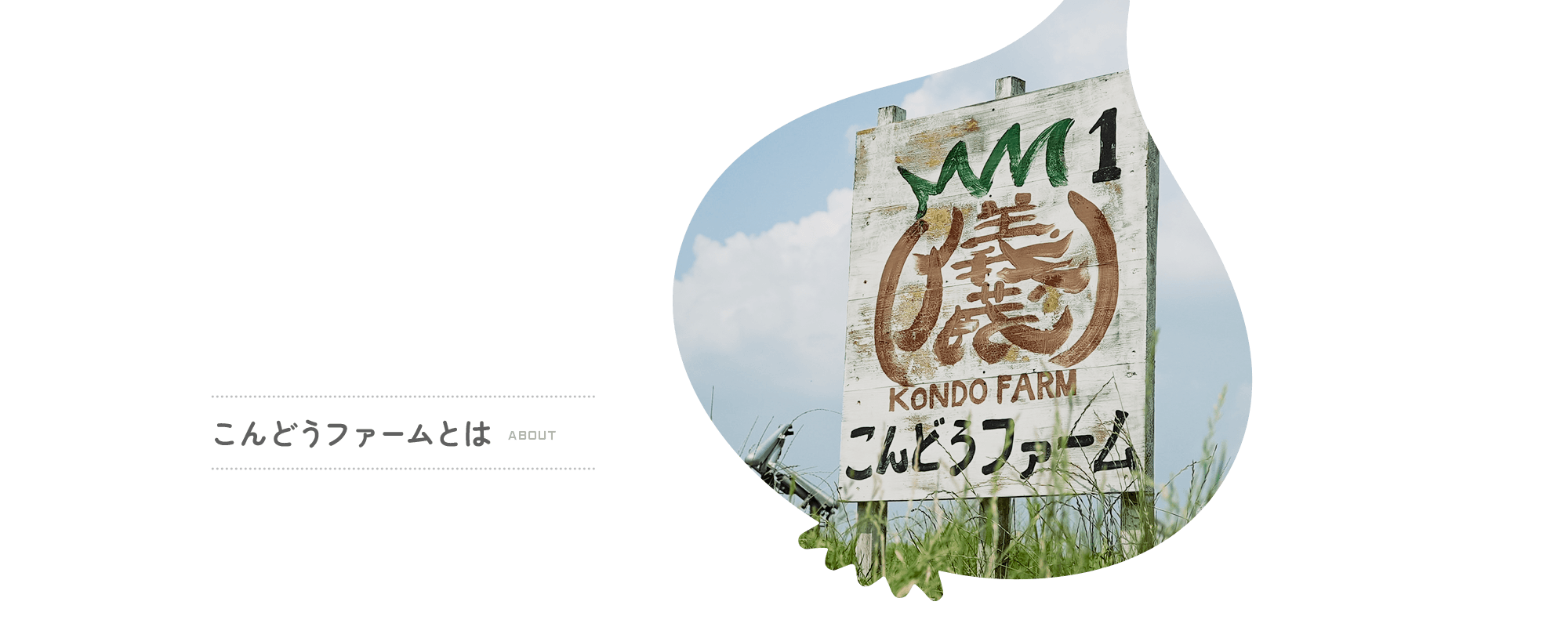 こんどうファームとは